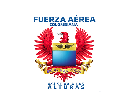 fuerza aerea